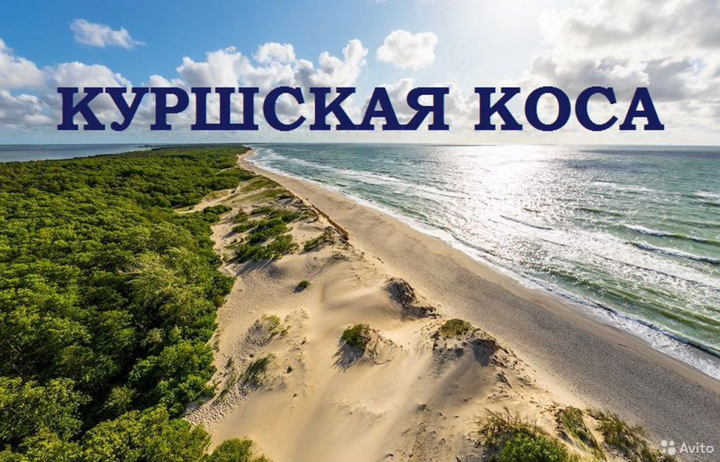 Легенды Куршской косы