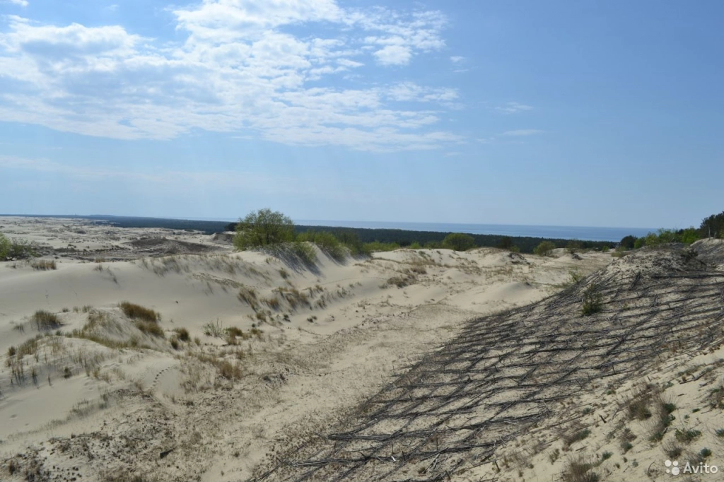 Легенды Куршской косы