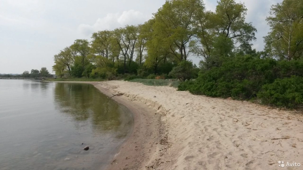 Морские прогулки, рыбалка на баркасе Калинингрд