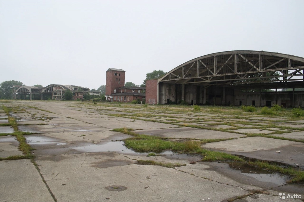 Экскурсии по области и Калининграду