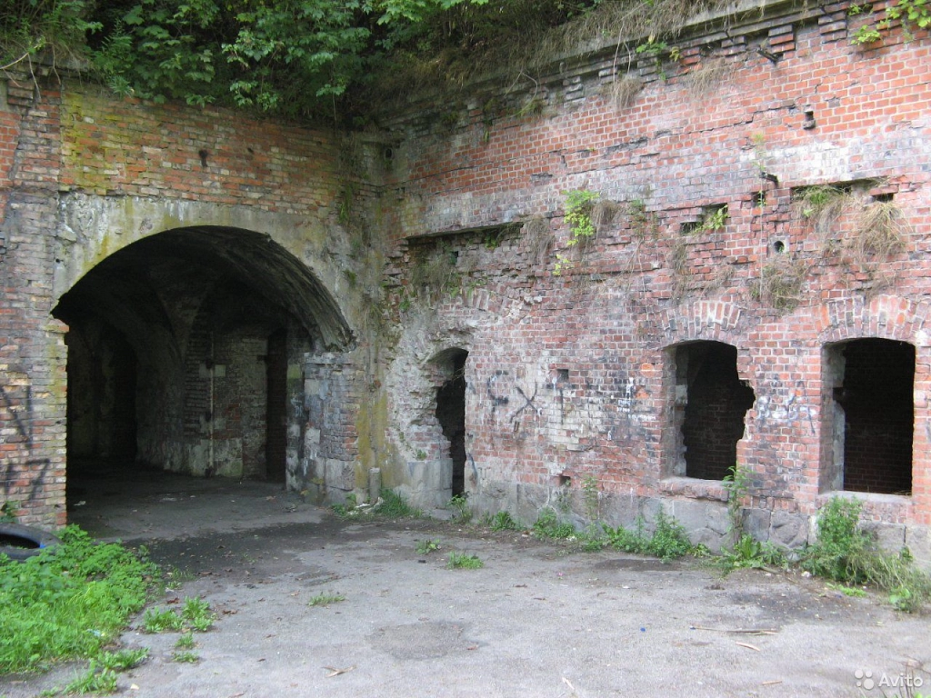 Экскурсии по области и Калининграду