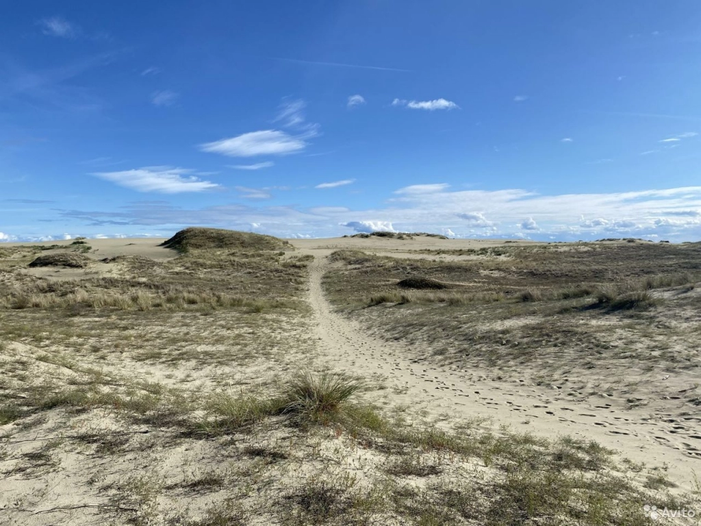 Экскурсии Калининградская область