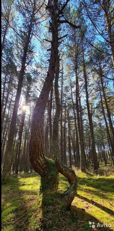 Экскурсии по городу и области