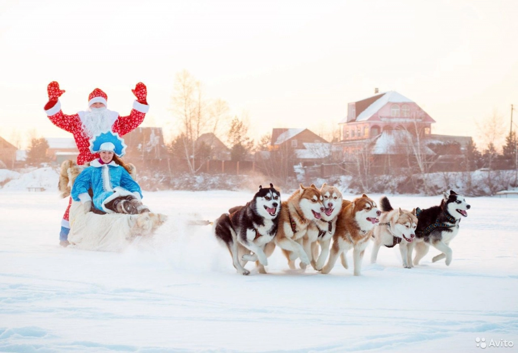 Туры в Россию,С-Петербург Крым Алтай,круизы