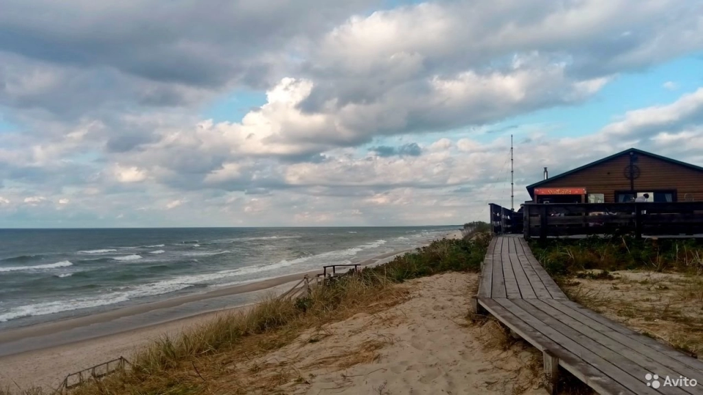 Экскурсия на Куршскую косу, на микроавтобусе