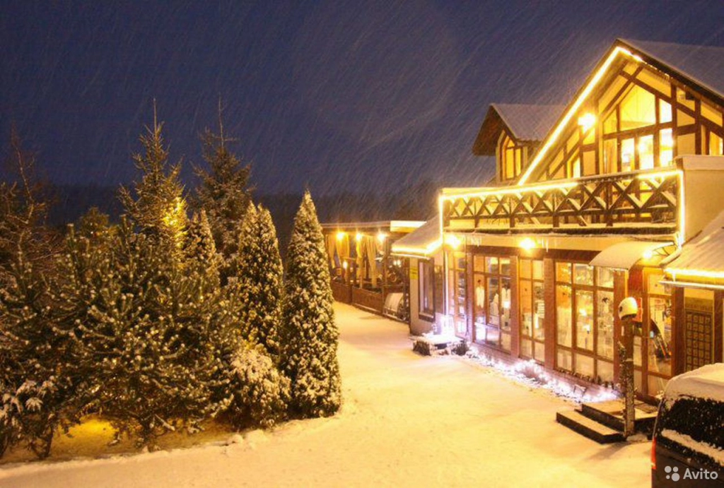 Отдых и веселье с гармонистом