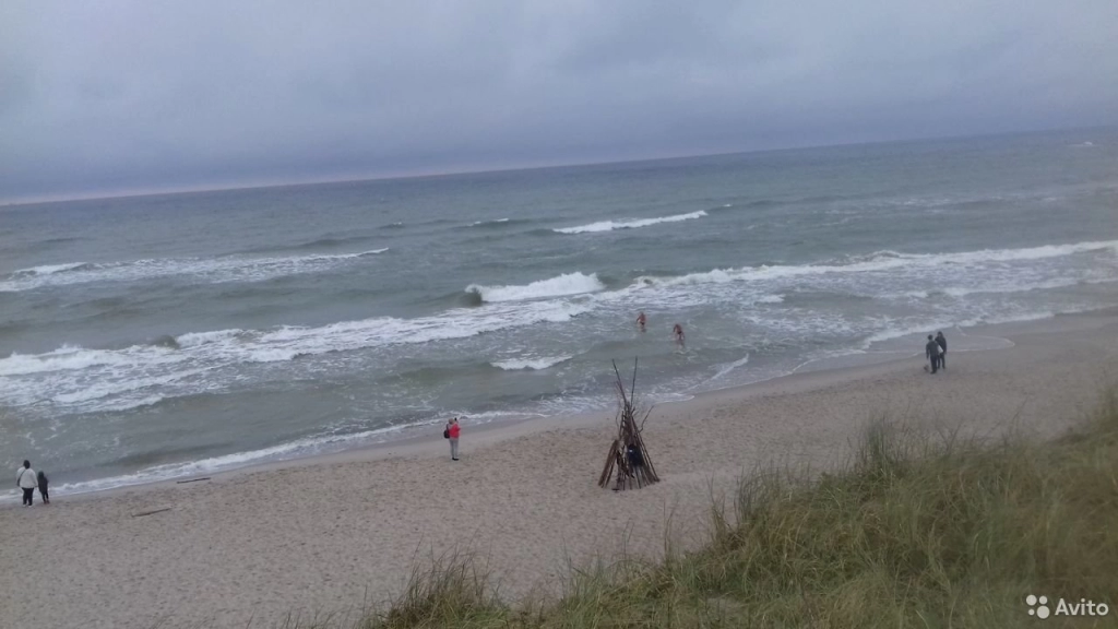 Экскурсия на Куршскую косу