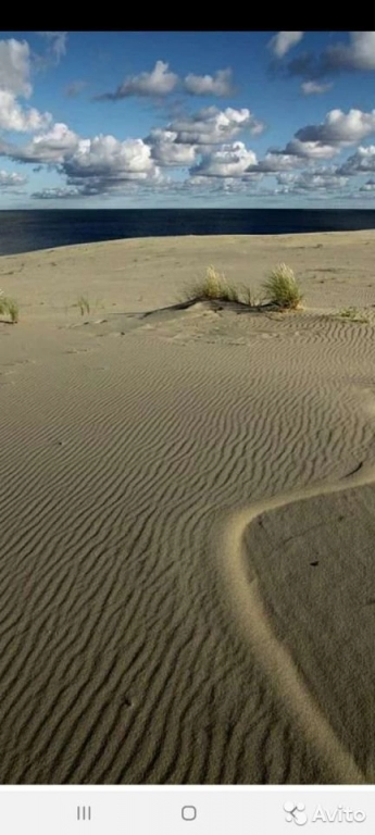 Индивидуальный тур на Куршскую косу