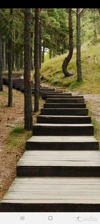 Индивидуальный тур на Куршскую косу