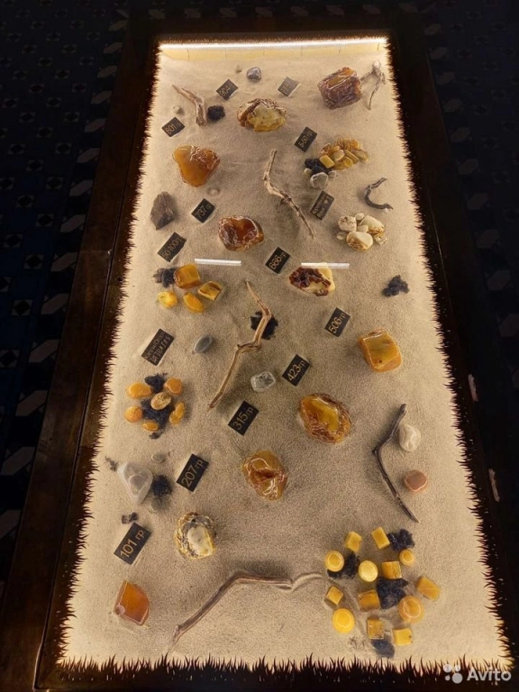 Индивидуальный тур на Куршскую косу