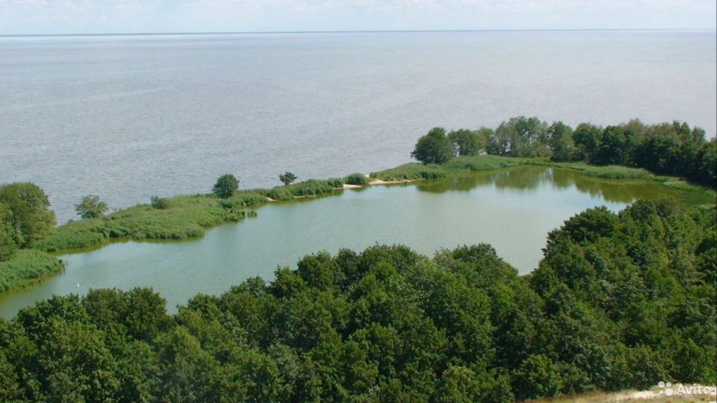 Экскурсии в Калининграде и области