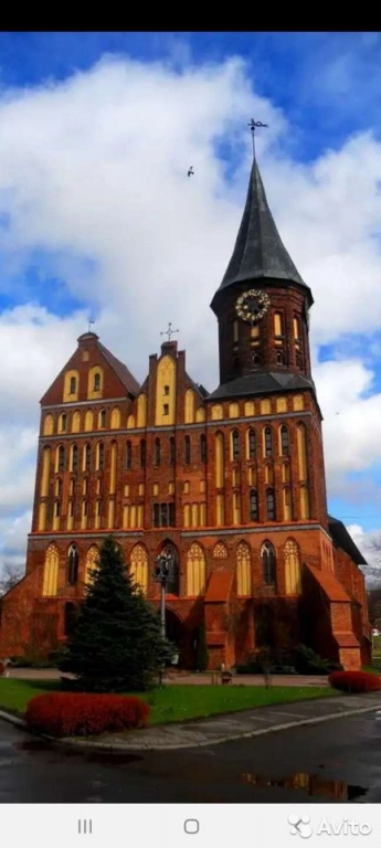 Индивидуальный тур по Калининграду