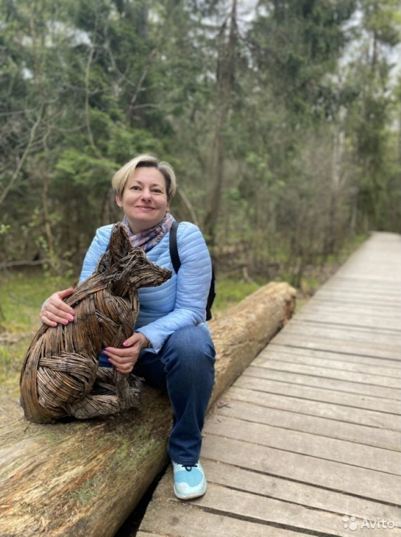 Новогодняя экскурсия в «Волшебный лес»