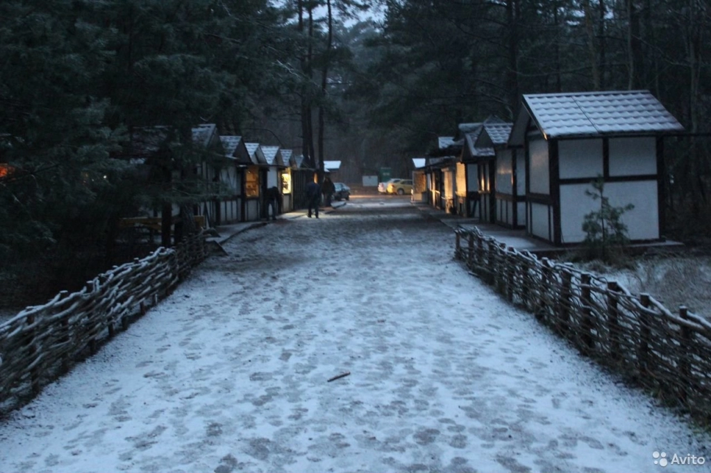 Новогодняя экскурсия в «Волшебный лес»