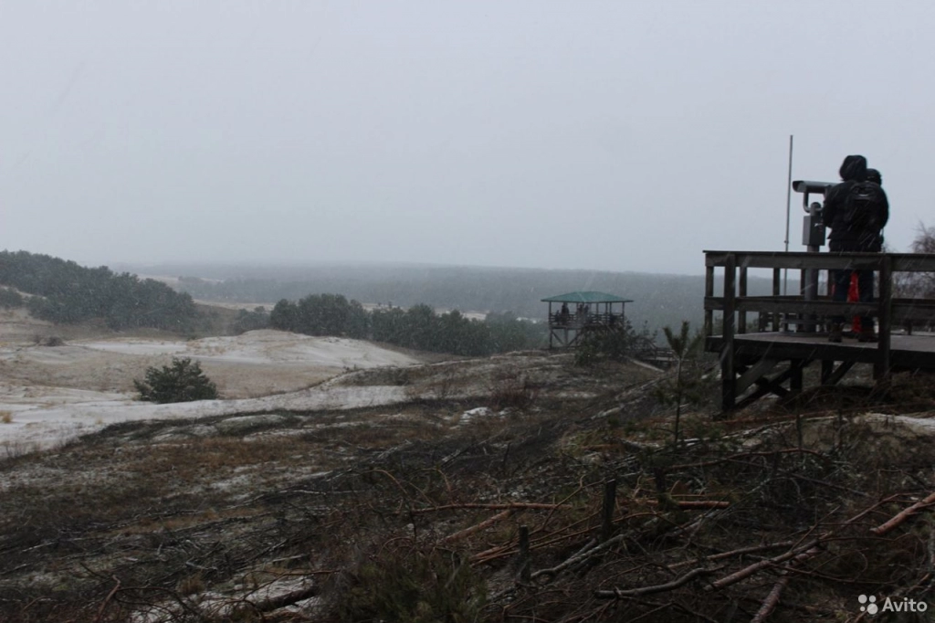 Новогодняя экскурсия в «Волшебный лес»