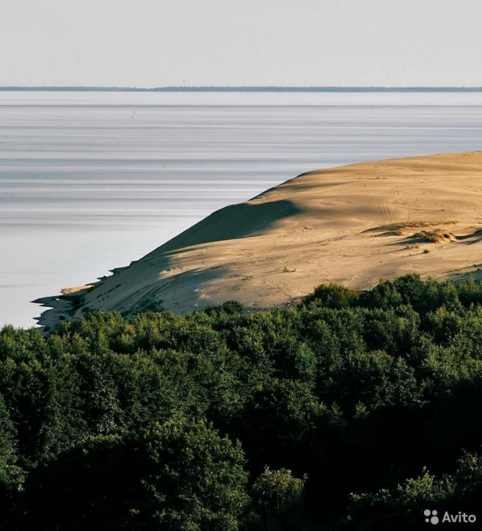 Экскурсия-Куршская коса без дополнительных сборов
