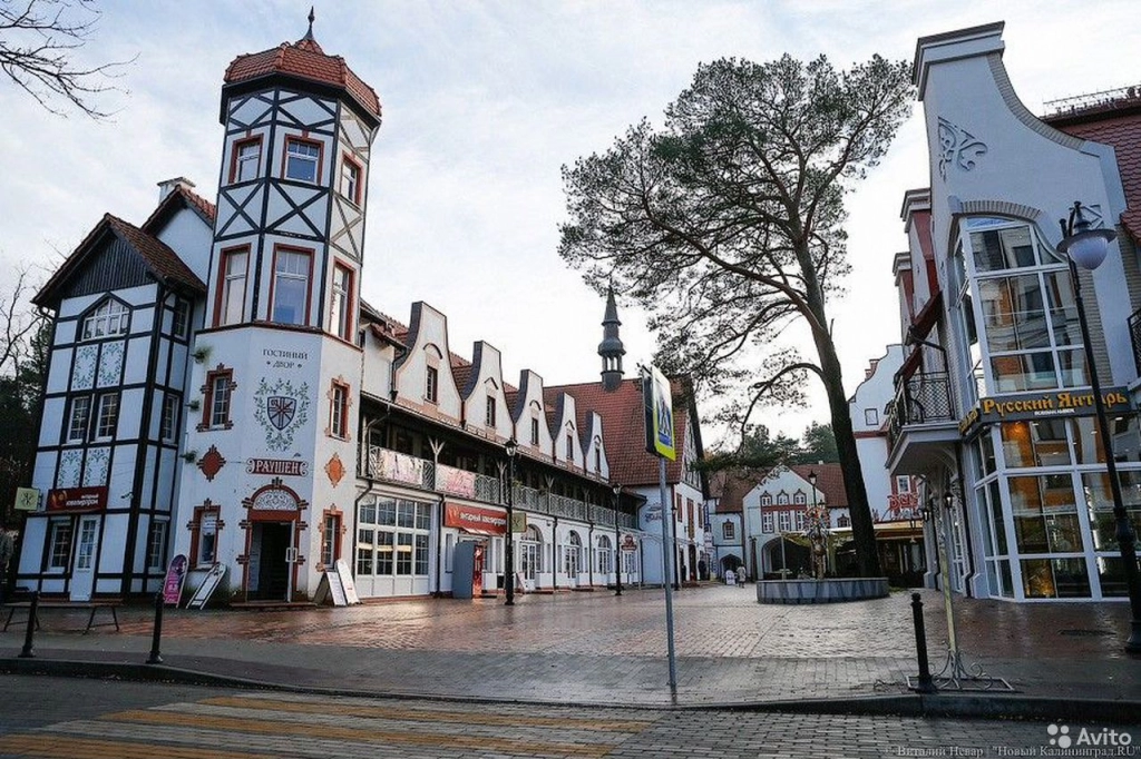 Экскурсия в Светлогорск+Янтарный в мини группе