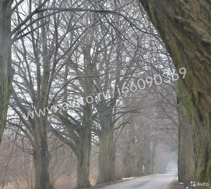 Участок 10 сот. (ИЖС)