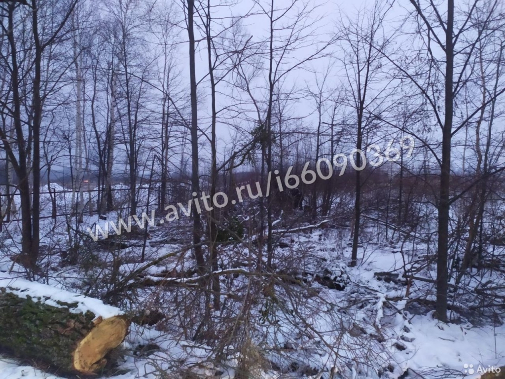 Участок 10 сот. (ИЖС)