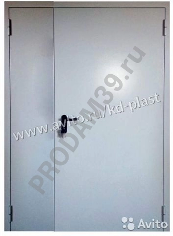 Дверь противопожарная дп-2-60 2050*1450h mm