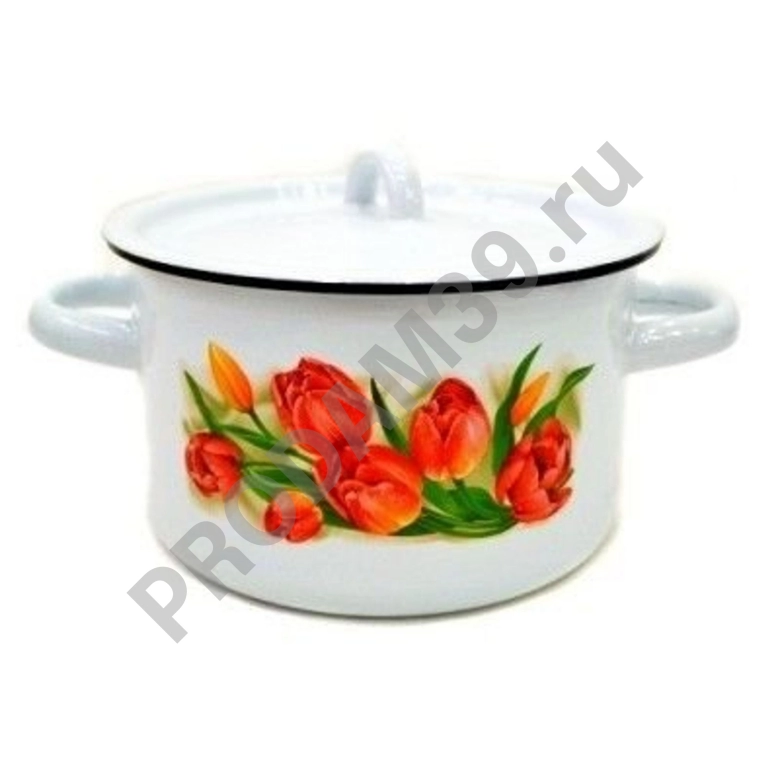 Кастрюля СтальЭмаль 1С17С, 4.5 л