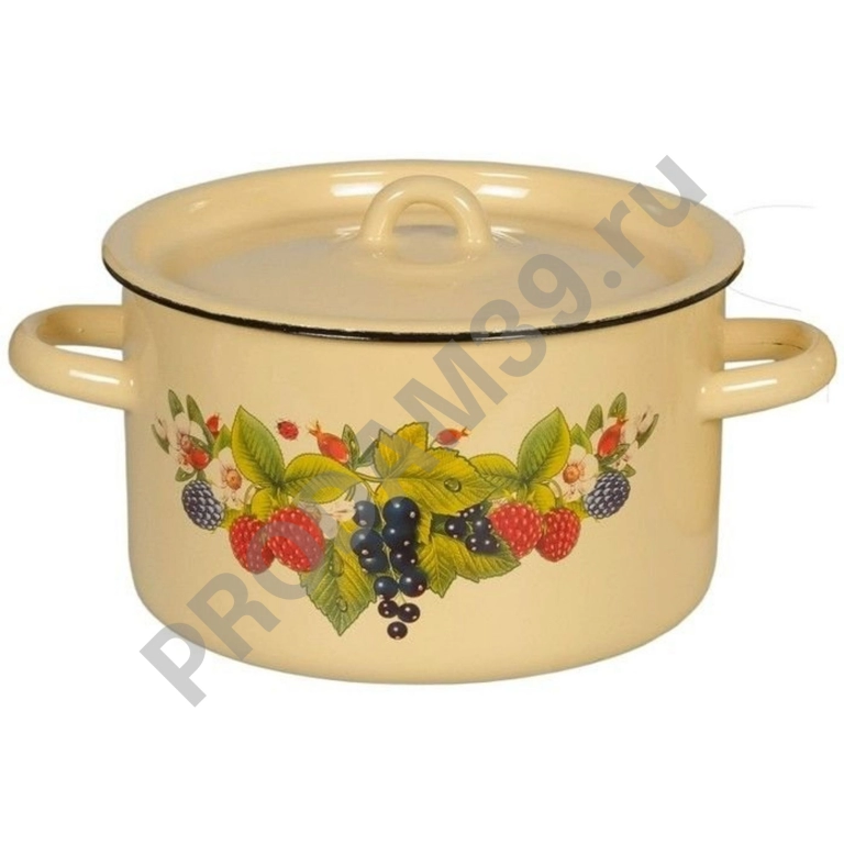 Кастрюля СтальЭмаль 1С17С, 4.5 л