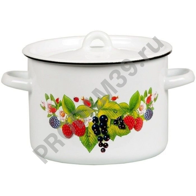 Кастрюля СтальЭмаль 1С17С, 4.5 л