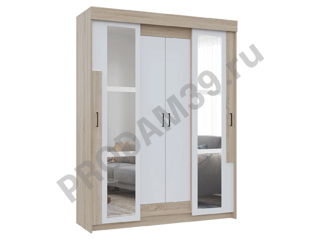 Шкаф Купе Виктор