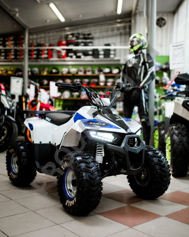 Квадроцикл (комплект в сборе) EAGLE 110сс