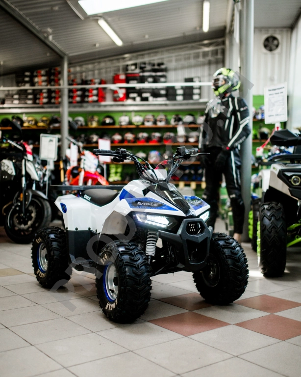 Квадроцикл (комплект в сборе) EAGLE 110сс