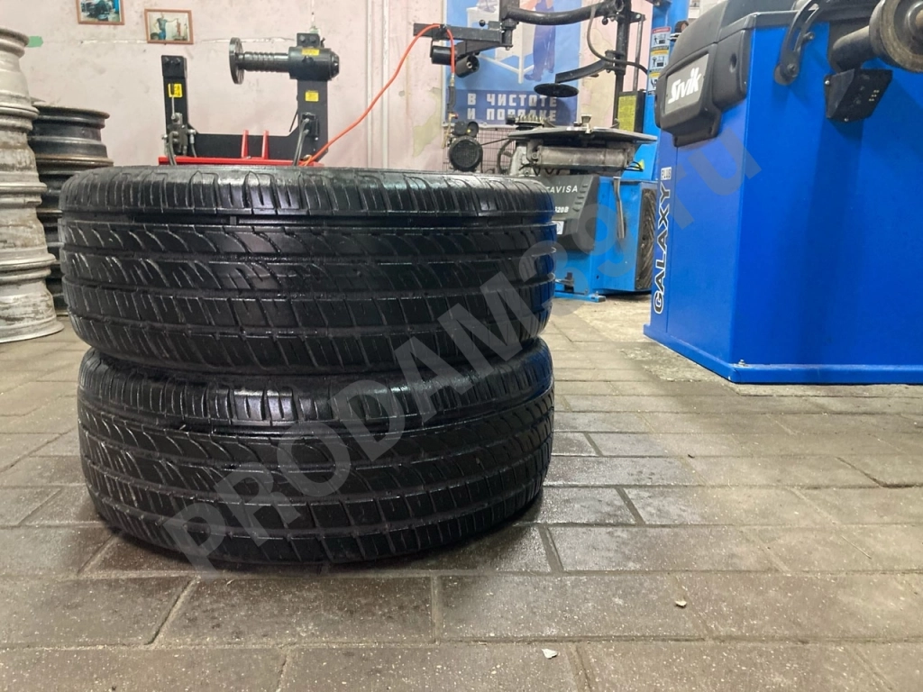 Шины летние Gislaved 205/55/16
