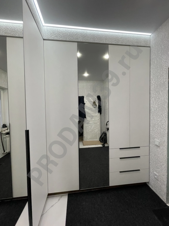 Распашной шкаф в прихожую