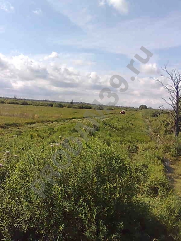 Участок 800 сот. Сельхозназначения (СНТ, ДНП)