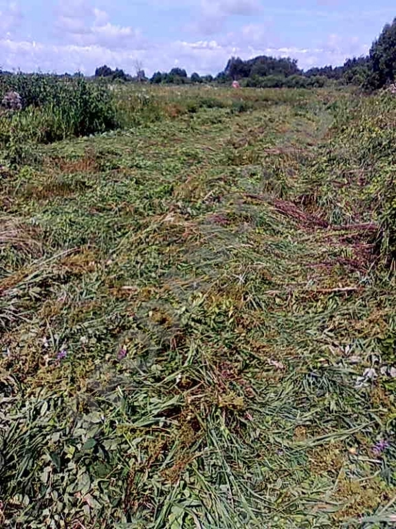 Участок 800 сот. Сельхозназначения (СНТ, ДНП)