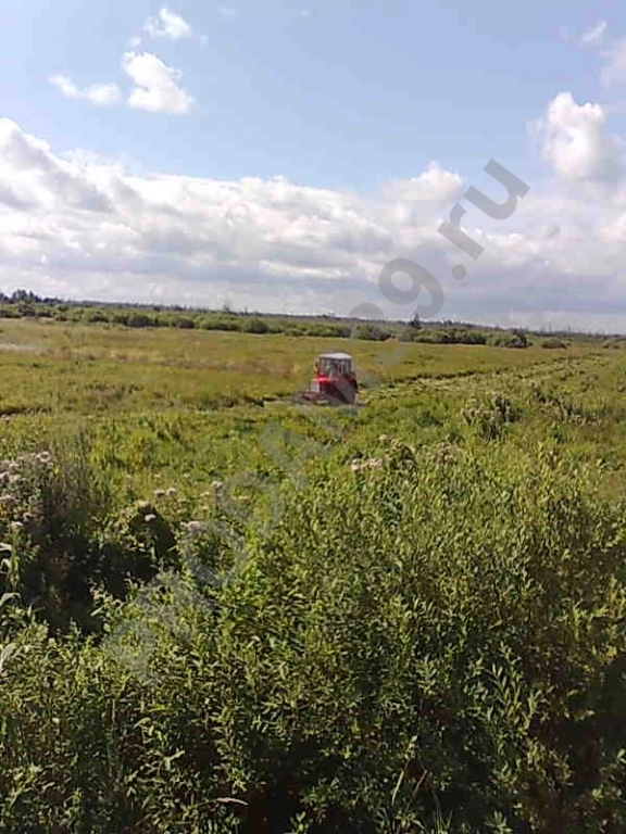 Участок 800 сот. Сельхозназначения (СНТ, ДНП)