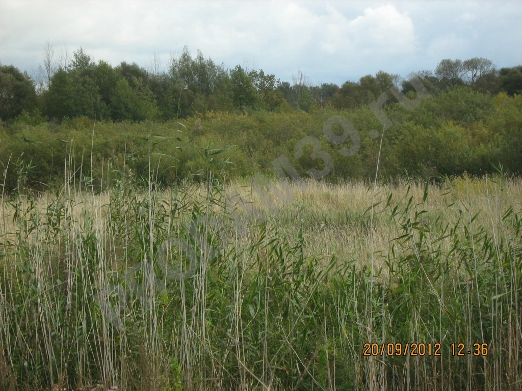 Участок 800 сот. Сельхозназначения (СНТ, ДНП)