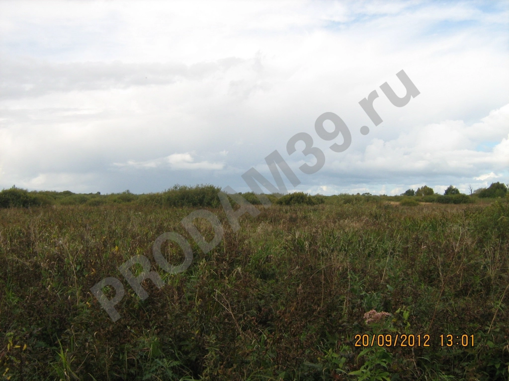 Участок 800 сот. Сельхозназначения (СНТ, ДНП)