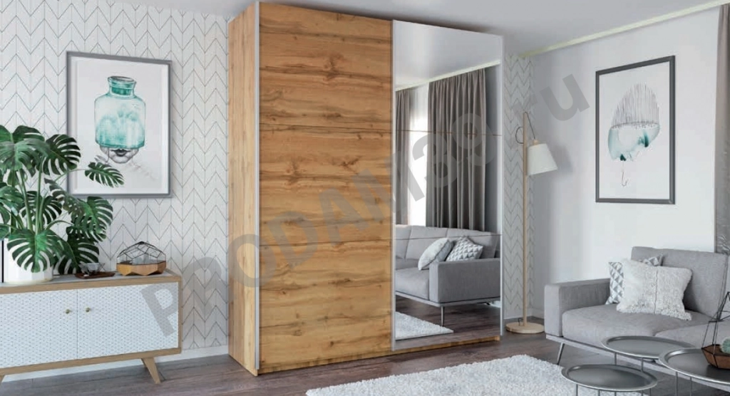 Шкаф-купе RODOS 200