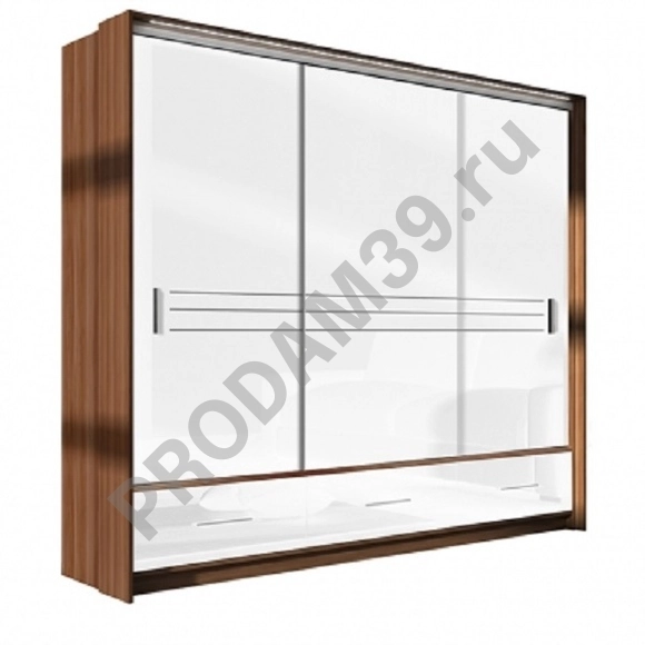 Шкаф-купе Amsterdam 250