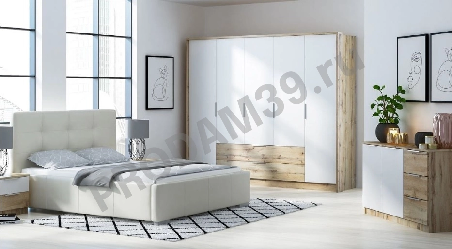 Шкаф-купе Vienna