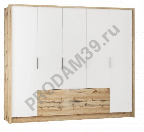 Шкаф-купе Vienna