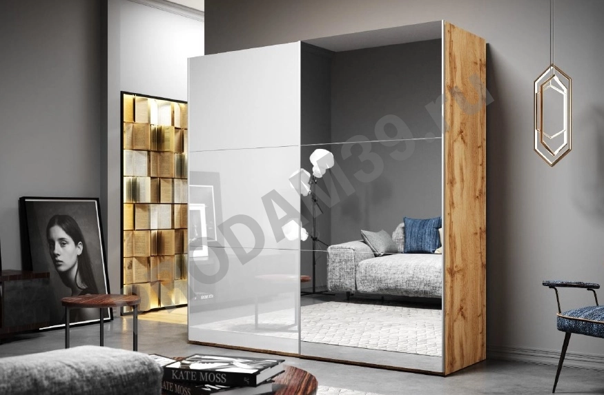 Шкаф-купе Vigo 200 см глянец