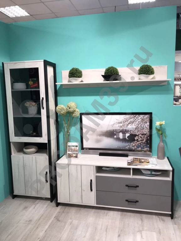 Гостиная Техно, цвет 