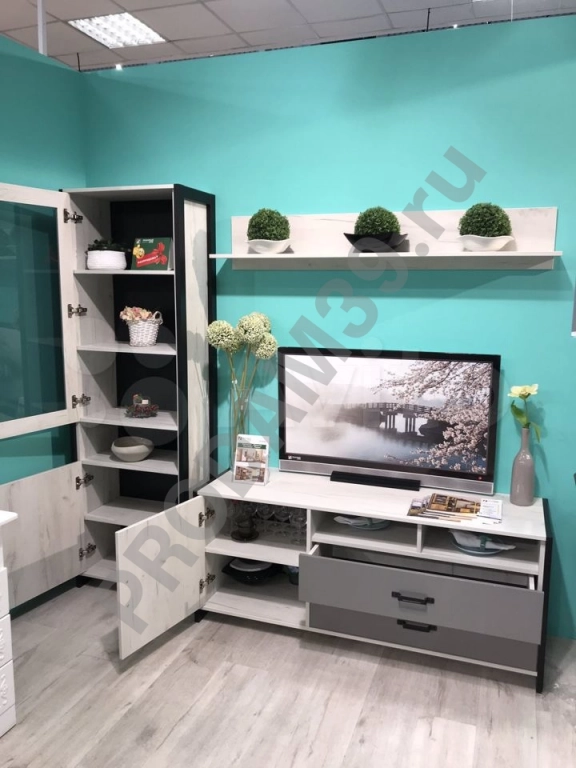 Гостиная Техно, цвет 