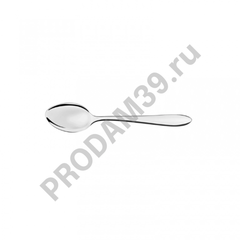Ложка чайная SATRI
