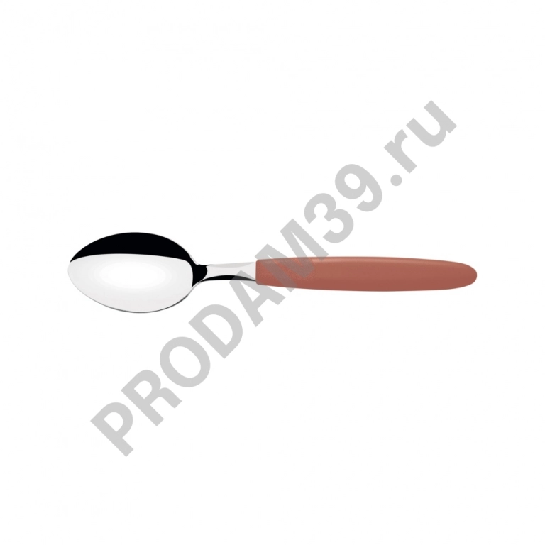 Ложка чайная IPANEMA