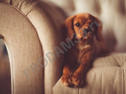 Замена пружинных блоков