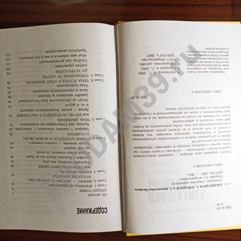 Игорь Альтшулер,Андрей Городнов.