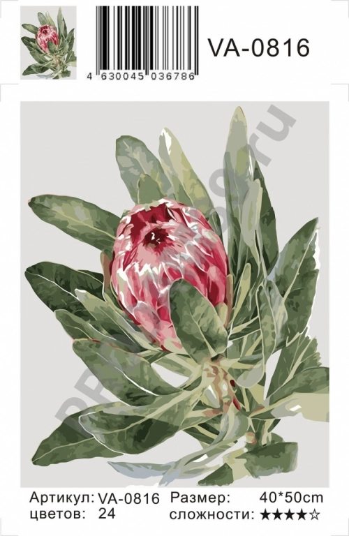 Картины по номерам VA-0816