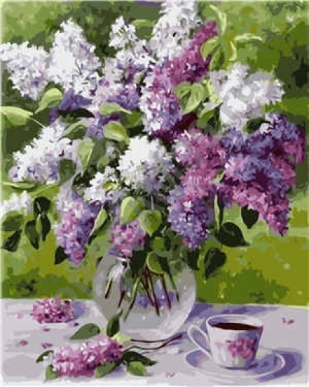 Картины по номерам VA-0321